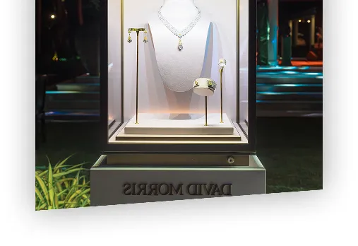 Презентации и открытия