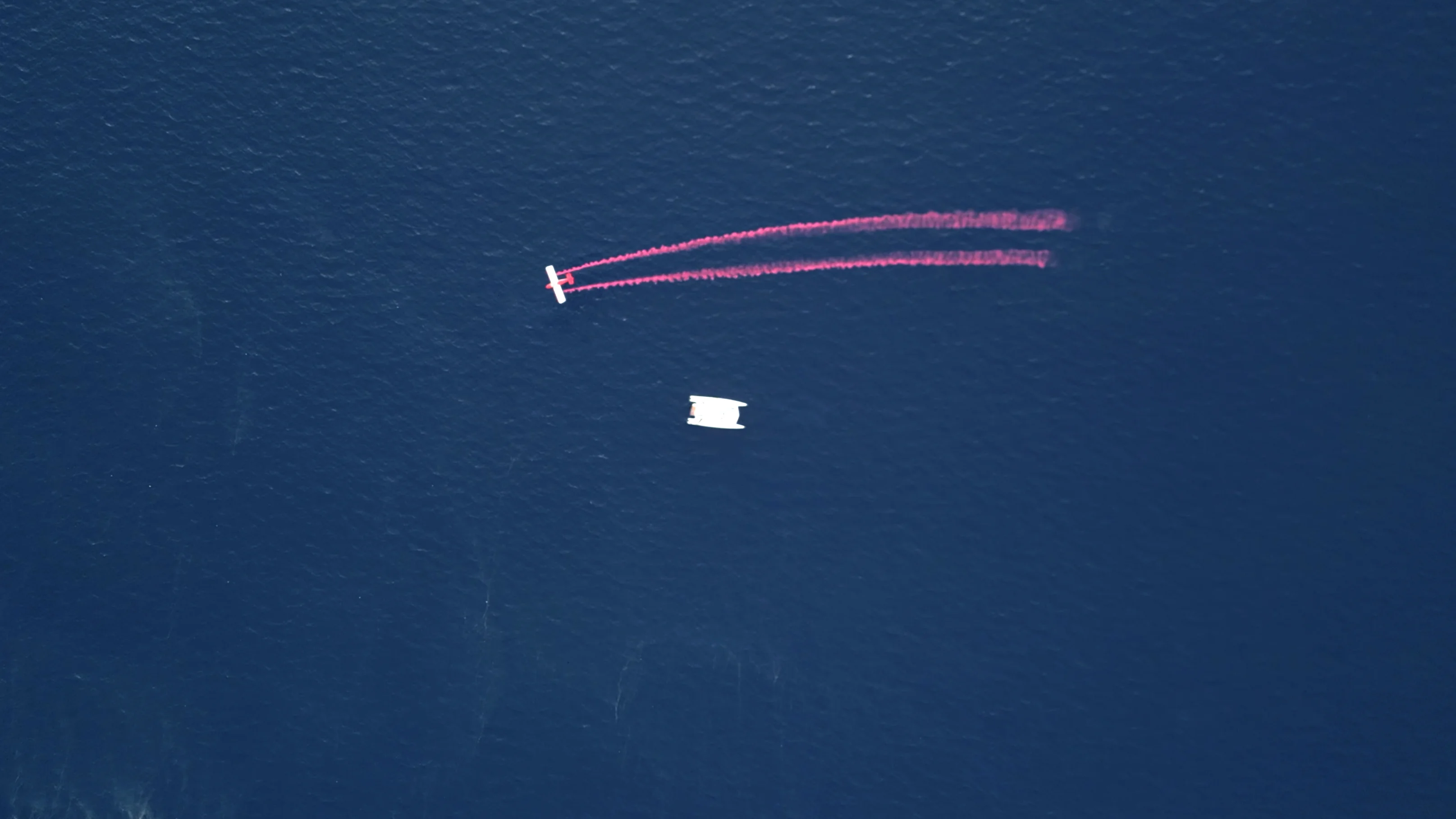 Фотография гендер-пати